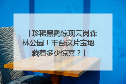 珍稀黑鹳惊现云岗森林公园！丰台这片宝地藏着多少惊喜？