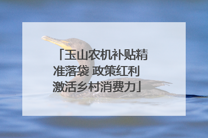 玉山农机补贴精准落袋 政策红利激活乡村消费力