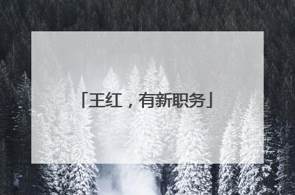 王红，有新职务