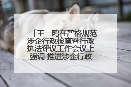 王一鸥在严格规范涉企行政检查暨行政执法评议工作会议上强调 推进涉企行政检查质效大幅提升