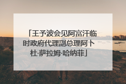 王予波会见阿富汗临时政府代理副总理阿卜杜·萨拉姆·哈纳菲