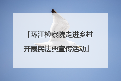 环江检察院走进乡村开展民法典宣传活动