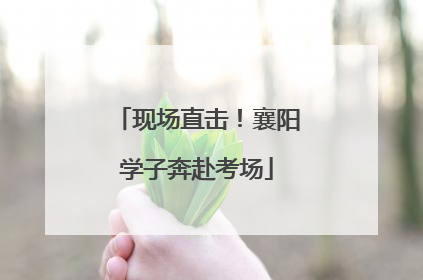 现场直击！襄阳学子奔赴考场
