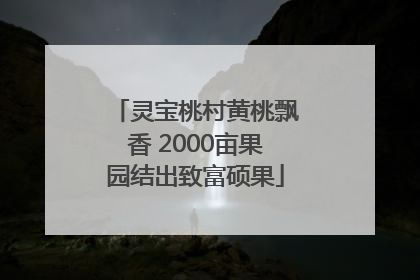 灵宝桃村黄桃飘香 2000亩果园结出致富硕果
