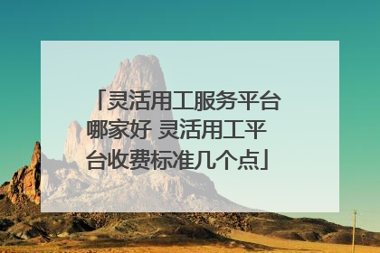灵活用工服务平台哪家好 灵活用工平台收费标准几个点