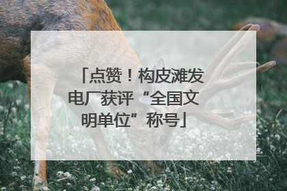 点赞！构皮滩发电厂获评“全国文明单位”称号