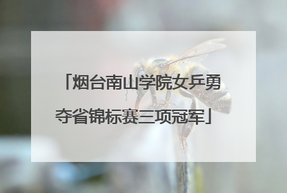 烟台南山学院女乒勇夺省锦标赛三项冠军