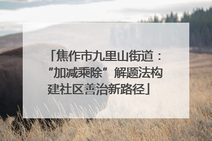 焦作市九里山街道：“加减乘除”解题法构建社区善治新路径