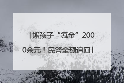 熊孩子“氪金”2000余元！民警全额追回