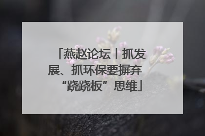 燕赵论坛丨抓发展、抓环保要摒弃“跷跷板”思维