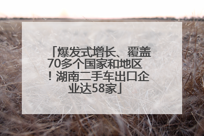 爆发式增长、覆盖70多个国家和地区！湖南二手车出口企业达58家