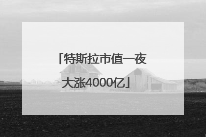 特斯拉市值一夜大涨4000亿