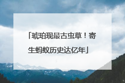 琥珀现最古虫草！寄生蚂蚁历史达亿年