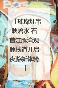璀璨灯串映碧水 石首江豚湾观豚栈道开启夜游新体验