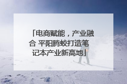 电商赋能，产业融合 平阳腾蛟打造笔记本产业新高地