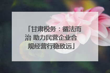 甘肃税务：循法而治 助力民营企业合规经营行稳致远