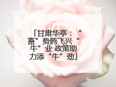甘肃华亭：“畜”势腾飞兴“牛”业 政策助力添“牛”劲