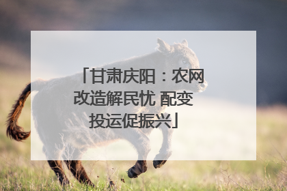 甘肃庆阳：农网改造解民忧 配变投运促振兴