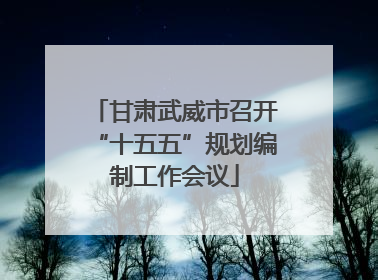 甘肃武威市召开“十五五”规划编制工作会议