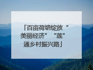 百亩荷塘绽放“美丽经济”“莲”通乡村振兴路