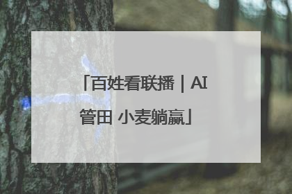 百姓看联播｜AI管田 小麦躺赢