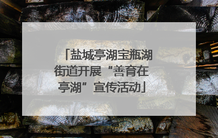 盐城亭湖宝瓶湖街道开展“善育在亭湖”宣传活动