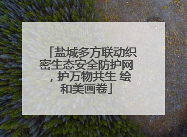 盐城多方联动织密生态安全防护网，护万物共生 绘和美画卷