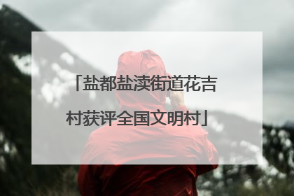 盐都盐渎街道花吉村获评全国文明村