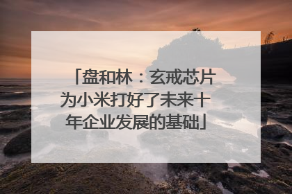 盘和林：玄戒芯片为小米打好了未来十年企业发展的基础