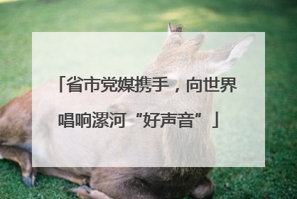 省市党媒携手，向世界唱响漯河“好声音”