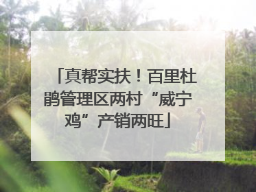 真帮实扶！百里杜鹃管理区两村“威宁鸡”产销两旺