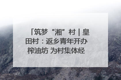 筑梦“湘”村｜皇田村：返乡青年开办榨油坊 为村集体经济“加油”