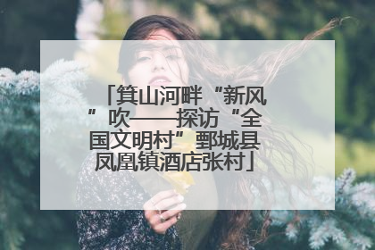 箕山河畔“新风”吹——探访“全国文明村”鄄城县凤凰镇酒店张村