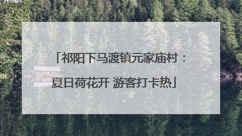 祁阳下马渡镇元家庙村：夏日荷花开 游客打卡热