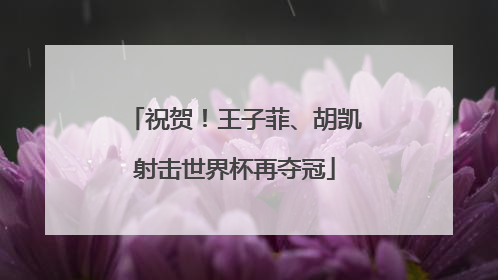 祝贺！王子菲、胡凯射击世界杯再夺冠