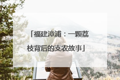 福建漳浦：一颗荔枝背后的支农故事