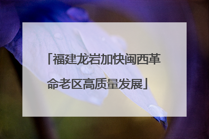 福建龙岩加快闽西革命老区高质量发展