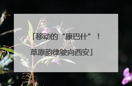 移动的“康巴什”！草原韵律驶向西安