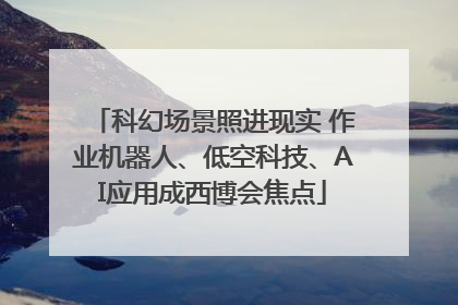科幻场景照进现实 作业机器人、低空科技、AI应用成西博会焦点