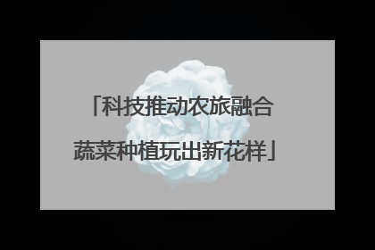科技推动农旅融合 蔬菜种植玩出新花样