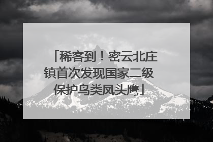 稀客到！密云北庄镇首次发现国家二级保护鸟类凤头鹰