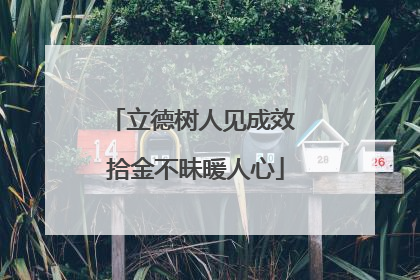 立德树人见成效 拾金不昧暖人心