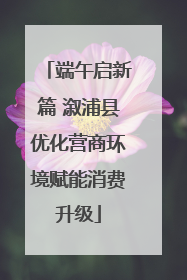 端午启新篇 溆浦县优化营商环境赋能消费升级