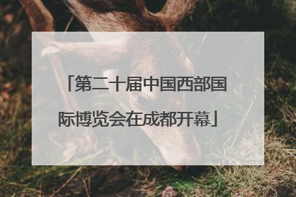 第二十届中国西部国际博览会在成都开幕