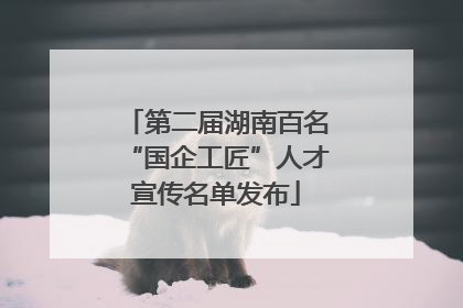 第二届湖南百名“国企工匠”人才宣传名单发布
