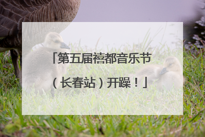 第五届禧都音乐节（长春站）开躁！