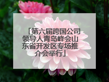 第六届跨国公司领导人青岛峰会山东省开发区专场推介会举行