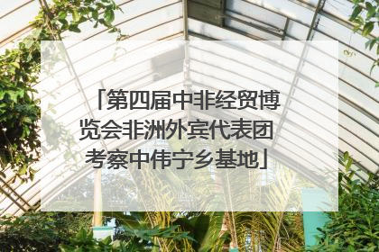 第四届中非经贸博览会非洲外宾代表团考察中伟宁乡基地
