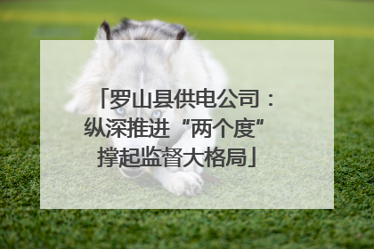 罗山县供电公司：纵深推进“两个度” 撑起监督大格局
