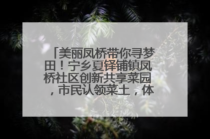 美丽凤桥带你寻梦田！宁乡夏铎铺镇凤桥社区创新共享菜园，市民认领菜土，体验耕种收获乐趣